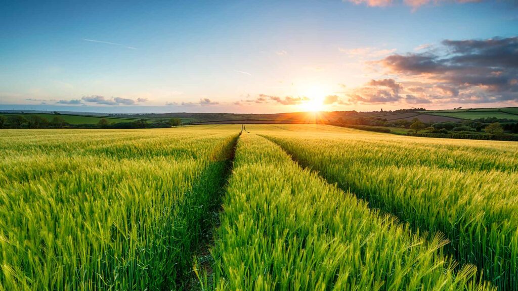 H2 Farm of the Future